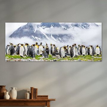 Koningspinguïns op south Georgia