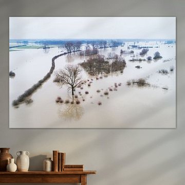 Hoogwater in de IJssel