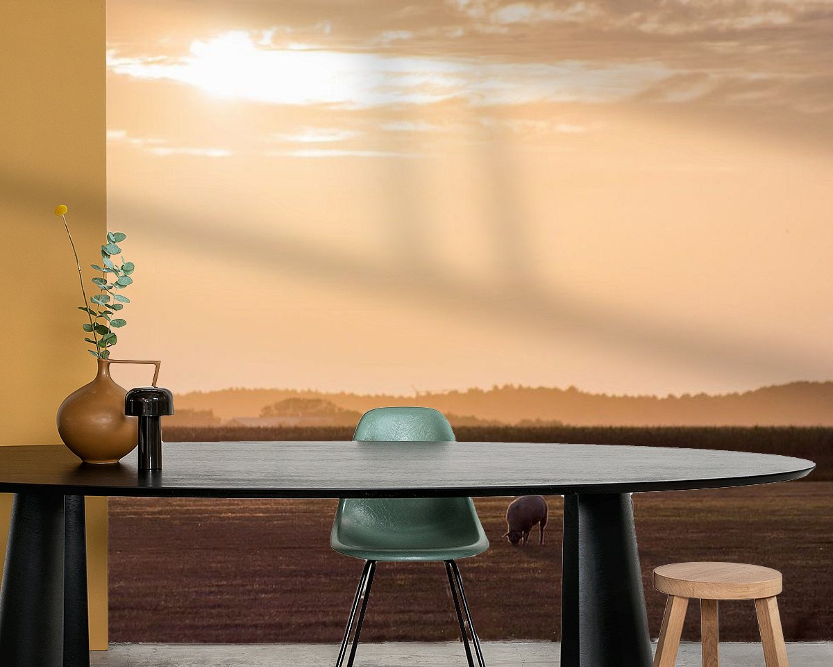 Voorbeeld van het werk in een kamer