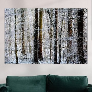 WINTER FAIRY TALE 3 by Miroslav Ptacek