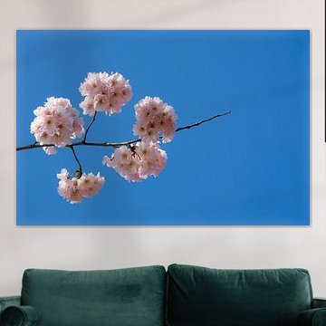 Bloesem tegen strakblauwe lucht van Framed by Elisabeth