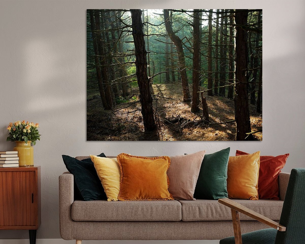 Raumvorschau
