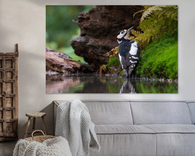 Aperçu de la chambre