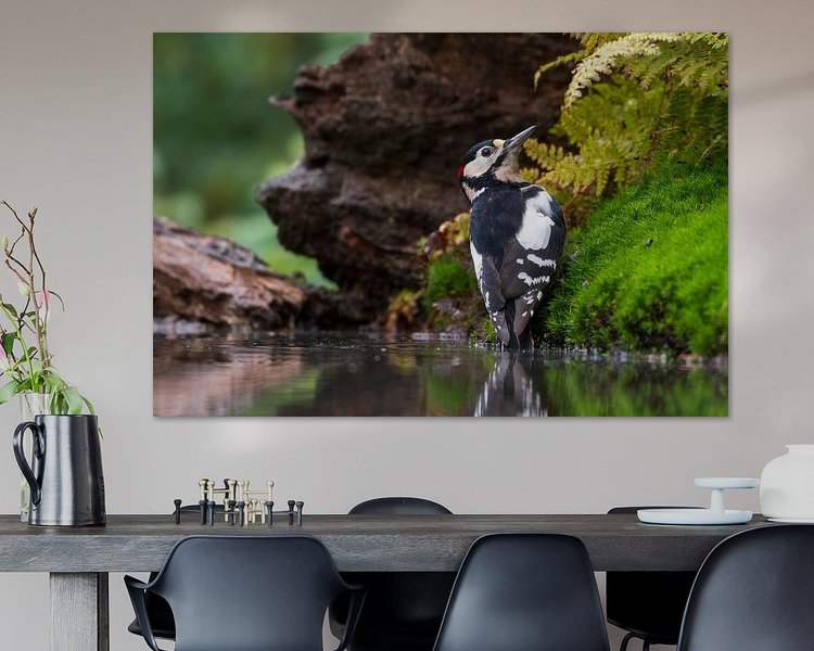 Aperçu de la chambre