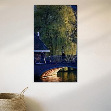 Evening light on a bridge by the water by Bambi Lu