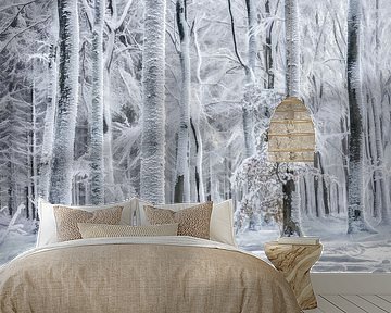 Cold is Coming by Lars van de Goor