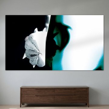 Floral 01 von IDBYDAAN - ART