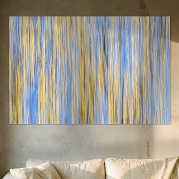 Mouvement ICM : un noisetier sur fond de ciel bleu