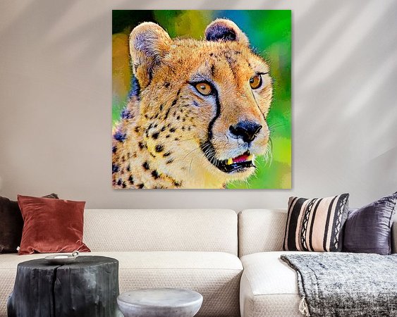 Aperçu de la chambre