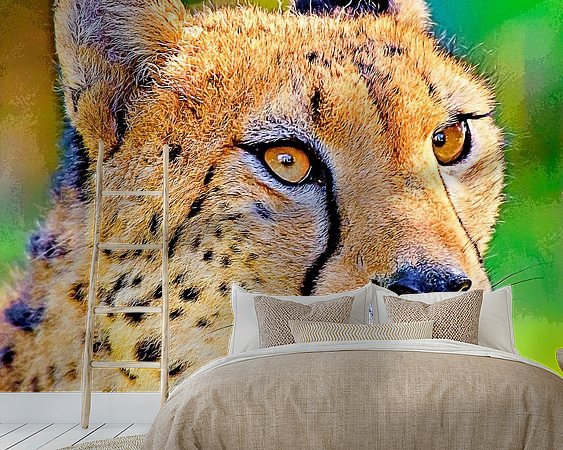 Aperçu de la chambre