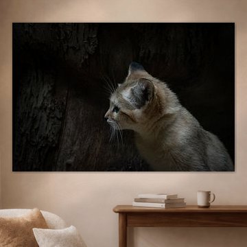 Curious sand cat by Krümel_Visions