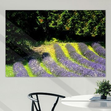 PROVENCE 5 by Miroslav Ptacek