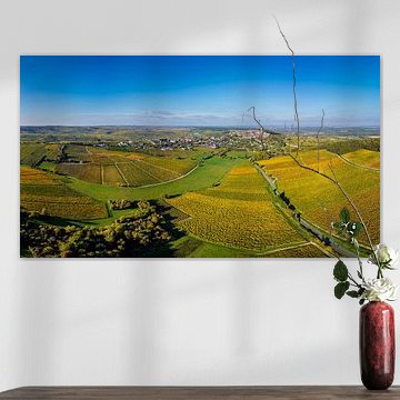 Sancerre entdecken von Alain Gaymard