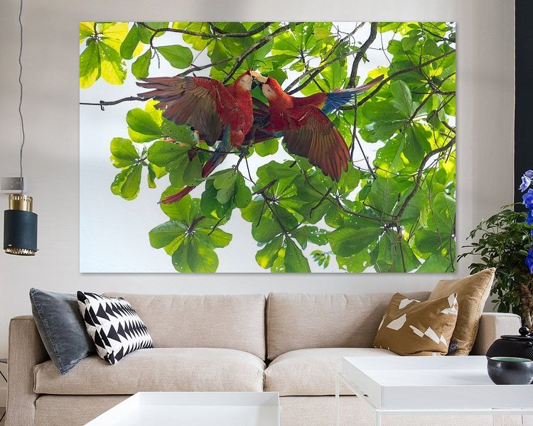 Aperçu de la chambre