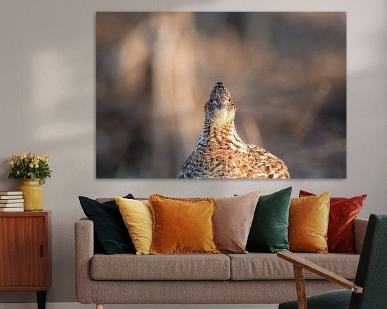 Aperçu de la chambre