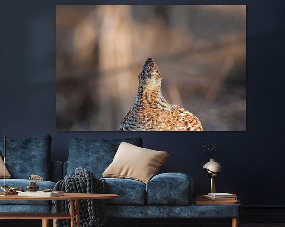 Aperçu de la chambre