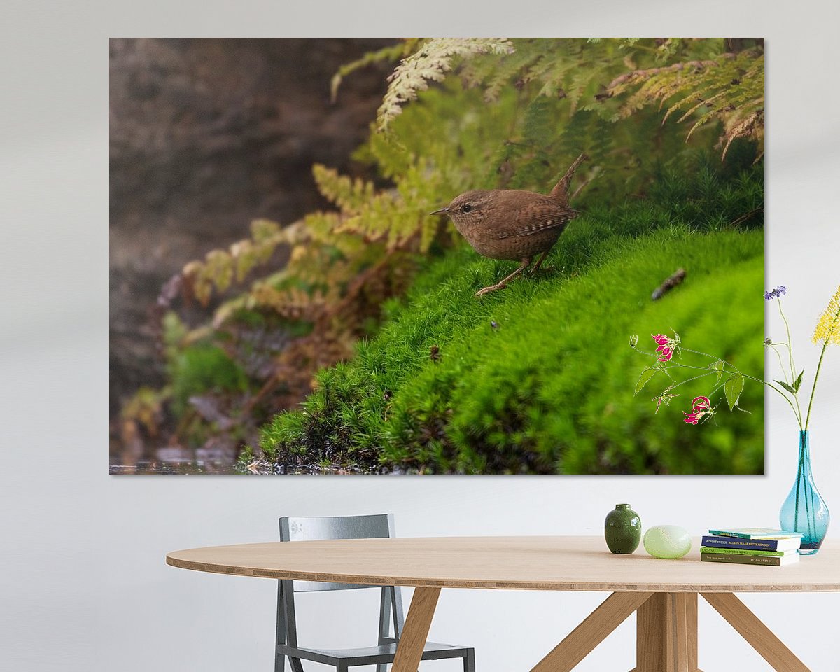 Raumvorschau