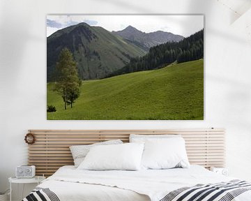 Oostenrijks landschap