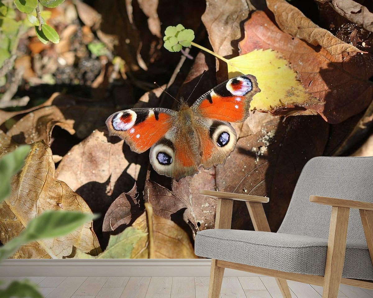 Raumvorschau