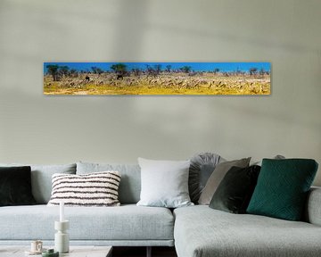 Panorama of grazing springbok antelope in Etosha National Park, Namibia by Rietje Bulthuis