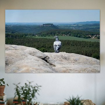 Een duif kijkt naar het groene landschap van Adriana Müller