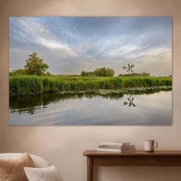 Landschaft des Naturschutzgebiets Weerribben-Wieden  von Sjoerd van der Wal Fotografie