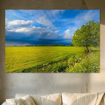 Storm clouds blowing over a field in spring by Sjoerd van der Wal Photography