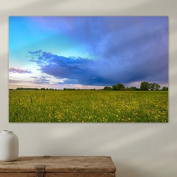 Landscape in the floodplains of the river IJssel during spring s by Sjoerd van der Wal Photography