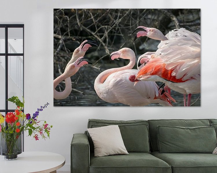 Aperçu de la chambre