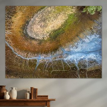 The ponds along the banks of the Loire