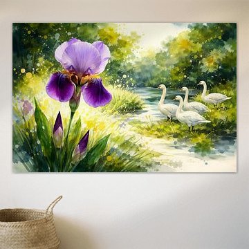 Swans and irises