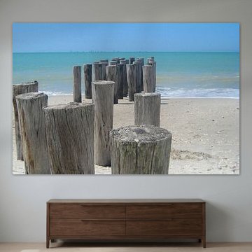 Hölzerne Buhnen am sandigen Meeresufer von Theodor Decker