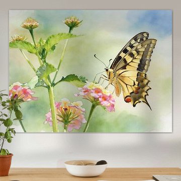 Exotic butterflies – hoverflies by PhotoArt Claudia Kleemann