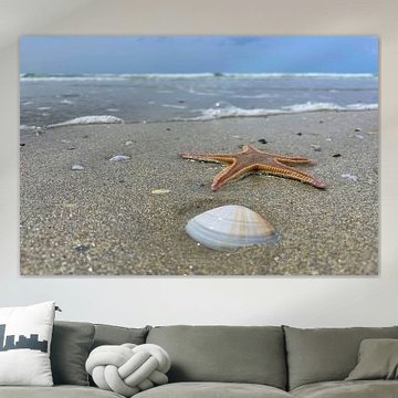 Seestern und Muschel am Brandungssaum von Theodor Decker