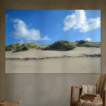 Sonniger Tag in den Küstendünen von Theodor Decker