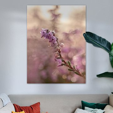 Gouden bokeh van Angela Kraan