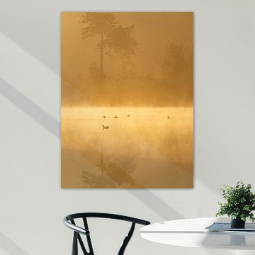 Silence by Angela Kraan