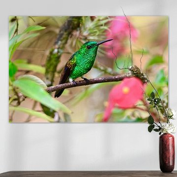 Kolibri in seinem natürlichen Lebensraum in Trinidad und Tobago von Vandervelden fotografie