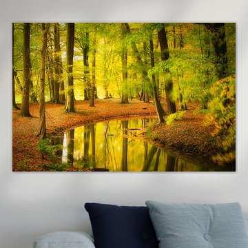 Reflections on autumn by Made by Martin