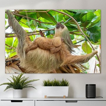 Sanfte Ruhe im Regenwald – Faultier mit Nachwuchs