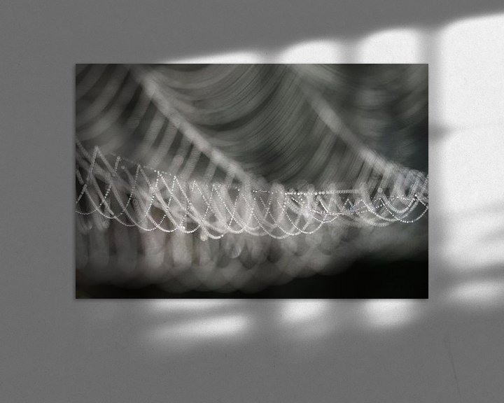 Sfeerimpressie: Bedauwd spinnenweb van Astrid Brouwers