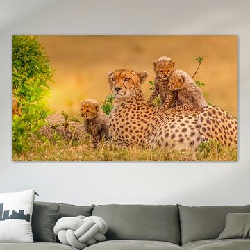 Lookout point! by Robert Kok