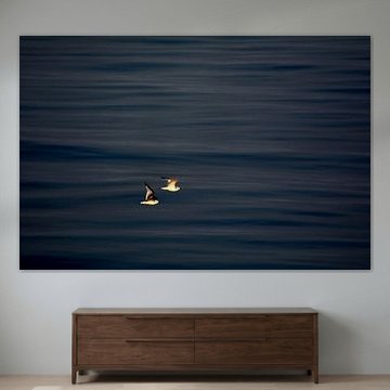 ZU ZWEIT von Miroslav Ptacek