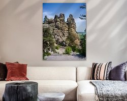 Aperçu de la chambre