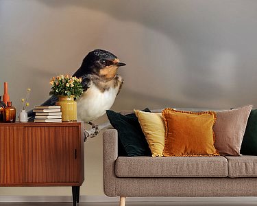 Voorbeeld van het werk in een kamer