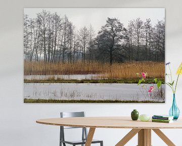 Natuurgebied Achterhoek