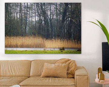 Natuurgebied Achterhoek 