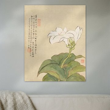 Bloemen P.9, Liang Yuwei