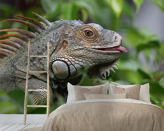 Aperçu de la chambre