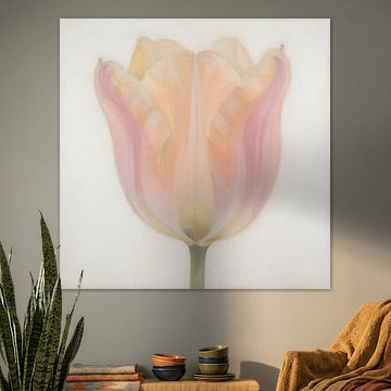 Tulp in zachte pasteltinten van Kristin M